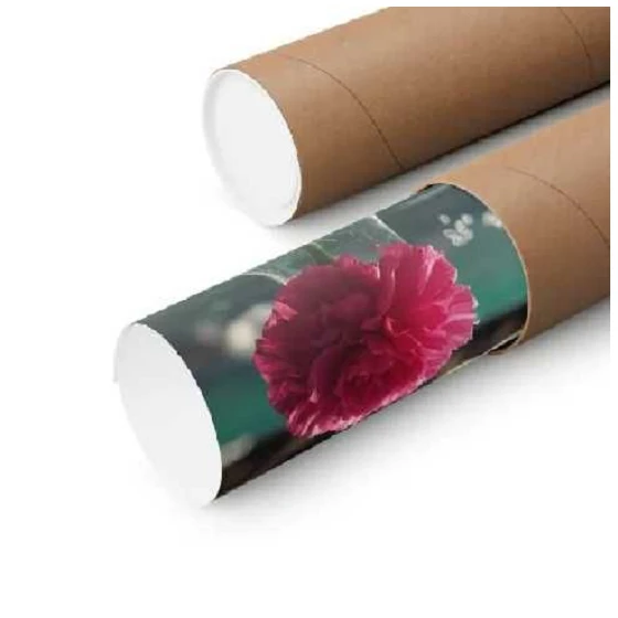 PAPEL IMPRESIÓN FL 61*600M/75GR - JP DIGITAL EPSON ECUADOR